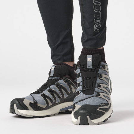 Кроссовки XA PRO 3D v9 GTX (RU 45.5 UK 11.5 USm 12 СМ 29.5; flint stone/black/ghost gray)